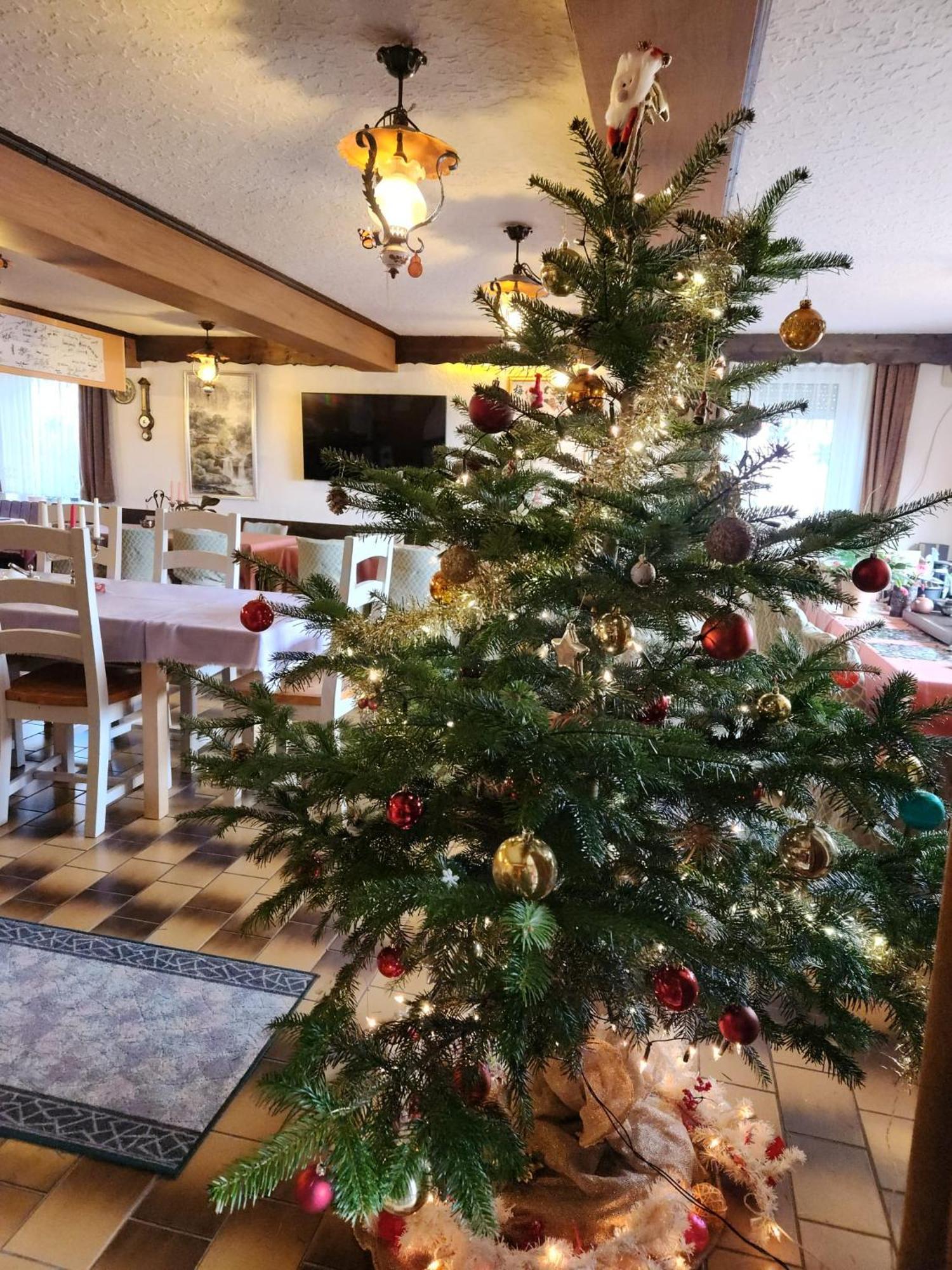 Gasthaus Hochwald Hattgenstein Ngoại thất bức ảnh